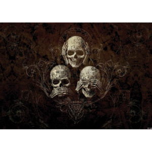 No Listen See Speak Skull Alchemy Fototapet, (416 x 254 cm)