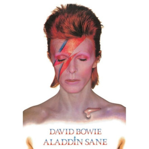 David Bowie - Aladdin Sane Poster, (61 x 91,5 cm)