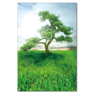 Pine Dream Tablou, (80 x 120 cm)