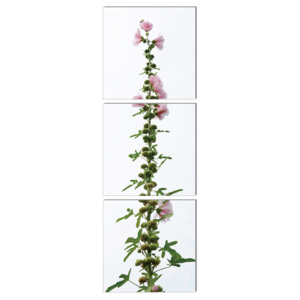 Modern design - flower with pink blossoms Tablou, (40 x 120 cm)