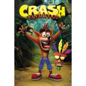 Crash Bandicoot - Crash Poster, (61 x 91,5 cm)