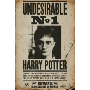 HARRY POTTER - Undesirable n1 Poster, (61 x 91,5 cm)