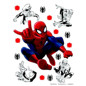 Spiderman I.- autocolant de perete 65x85 cm