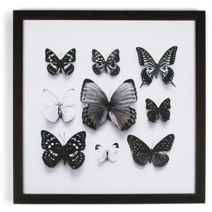 Tablou cu ramă Graham & Brown Butterfly Studies, 50 x 50 cm
