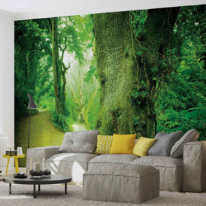 Forest Nature Trees Fototapet, (211 x 90 cm)