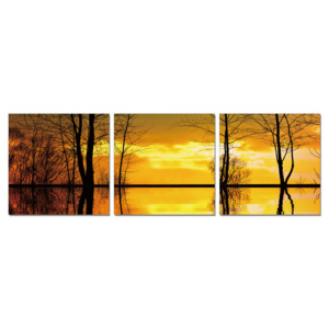 Tree Silhouettes - Calm Water Tablou, (180 x 60 cm)