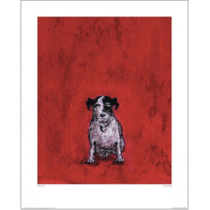 Sam Toft - Small Dog Reproducere, (40 x 50 cm)