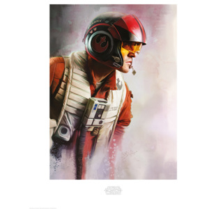 Star Wars The Last Jedi - Poe Paint Reproducere, (60 x 80 cm)