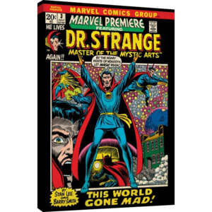 Marvel Comics - Dr Strange - World Gone Mad Tablou Canvas, (60 x 80 cm)