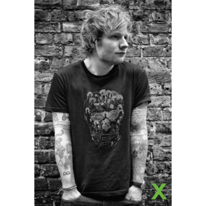 Ed Sheeran - Skull Poster, (61 x 91,5 cm)