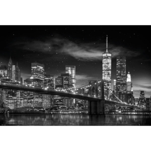 New York - Freedom Tower (B&W) Poster, (91,5 x 61 cm)