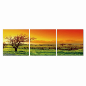 Quadro Sunset over the pasture, (150 x 50 cm)