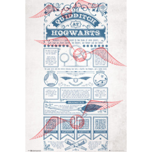 Harry Potter - Quidditch At Hogwarts Poster, (61 x 91,5 cm)
