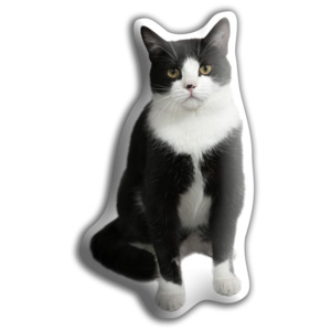 Pernă Adorable Cushions Pisică alb - negru