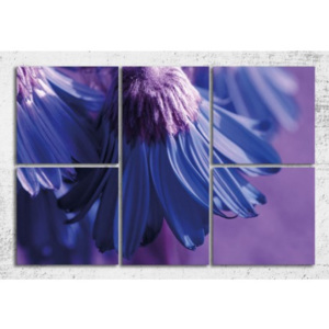 Tablouri florale - Splendoare albastra
