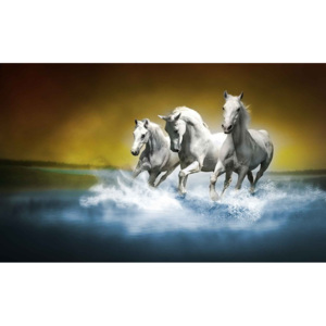 Horses Fototapet, (152.5 x 104 cm)
