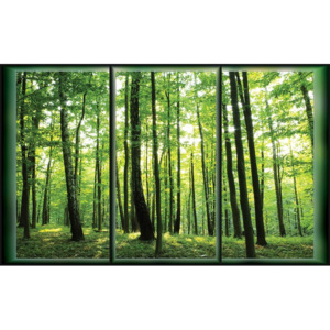 Forest Trees Green Nature Fototapet, (368 x 254 cm)