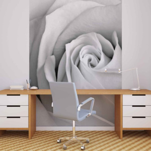 Rose Flower Fototapet, (184 x 254 cm)