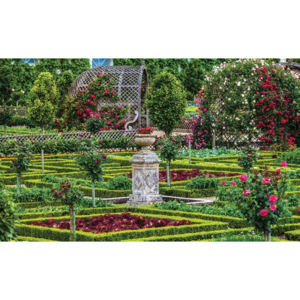 Rose Garden Fototapet, (368 x 254 cm)