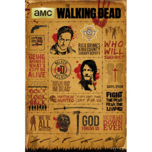 Walking Dead - Infographic Poster, (61 x 91,5 cm)