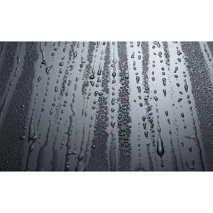 Fototapet: Picături de ploaie - 254x368 cm