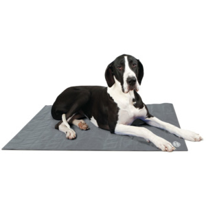 Scruffs & Tramps Scruffs & Tramps Pătură termică pentru câine Gri Mărime XL 2719