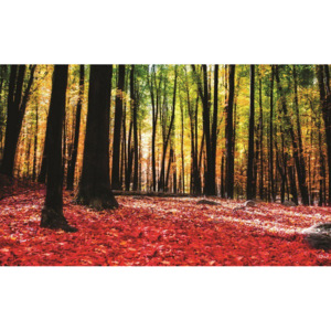 Tablou canvas: Pădure (3) - 75x100 cm