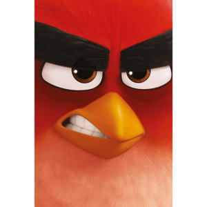 Poster - Angry Birds (1)