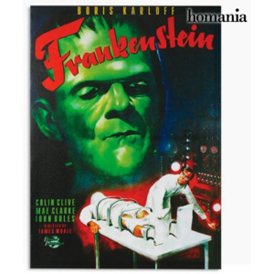 Poster Pânză In Frankenstein 50 x 70