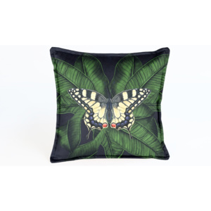 Pernă decorativă Velvet Atelier Butterfly, 45 x 45 cm