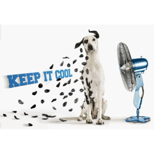 Poster - Keep it Cool
