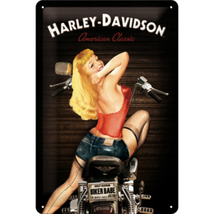 Placă metalică - Harley-Davidson (Biker Babe)