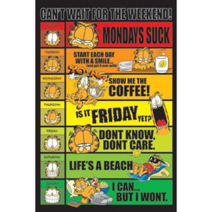 Poster - Garfield weekend