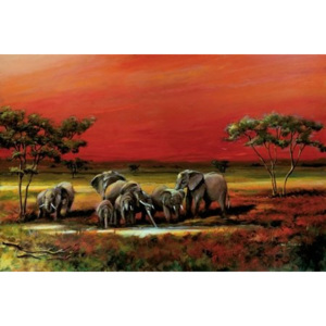 Poster - African style elephants