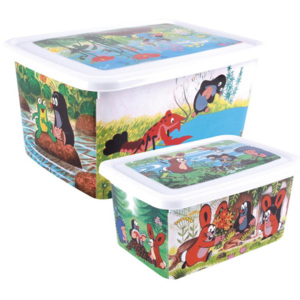 Cutie plastic pentru copii Cartita