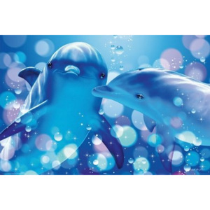 Poster - Lassen kissing dolphins