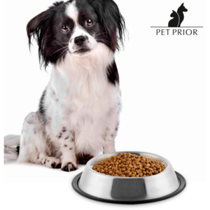 Castron de Hrană pentru Câini Pet Prior