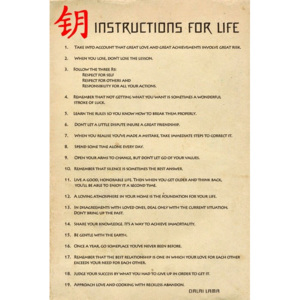 Poster - Instructions