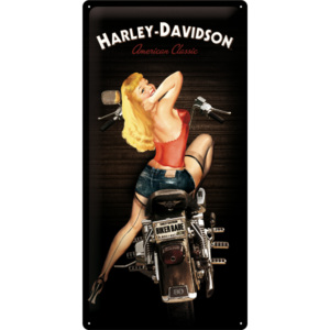 Placă metalică: Harley-Davidson (Biker Babe) - 50x25 cm