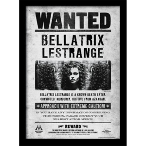 Harry Potter - Bellatrix Wanted Afiș înrămat