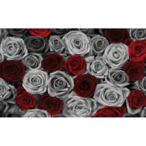 Tablou canvas: Trandafiri albi și roșii (1) - 75x100 cm