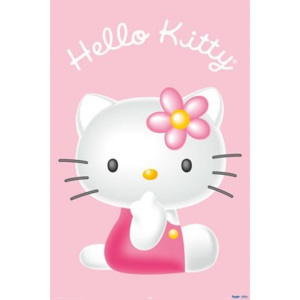 Poster - Hello Kitty 3d