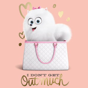 Poster - The Secret Life of Pets (I Do not Get Out Much)