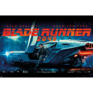Poster - Blade Runner 2049 (2)