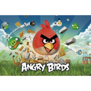 Poster - Angry Birds