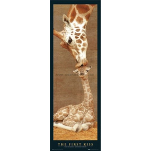 Poster - First Kiss Giraffe (1)