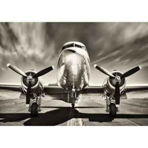 Fototapet vlies: Avion (alb-negru) - 254x368 cm