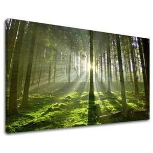 Tablou canvas - Reducere 35 % COPACI 20x30 cm ST021E11/24h