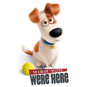 Poster - The Secret Life of Pets (Wish You Were Here)