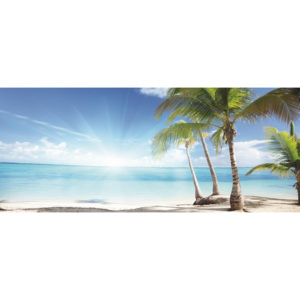 Fototapet: Palmieri pe plajă - 104x250 cm